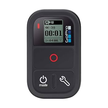 Amazon.com : GoPro Smart Remote Control - Compatible with